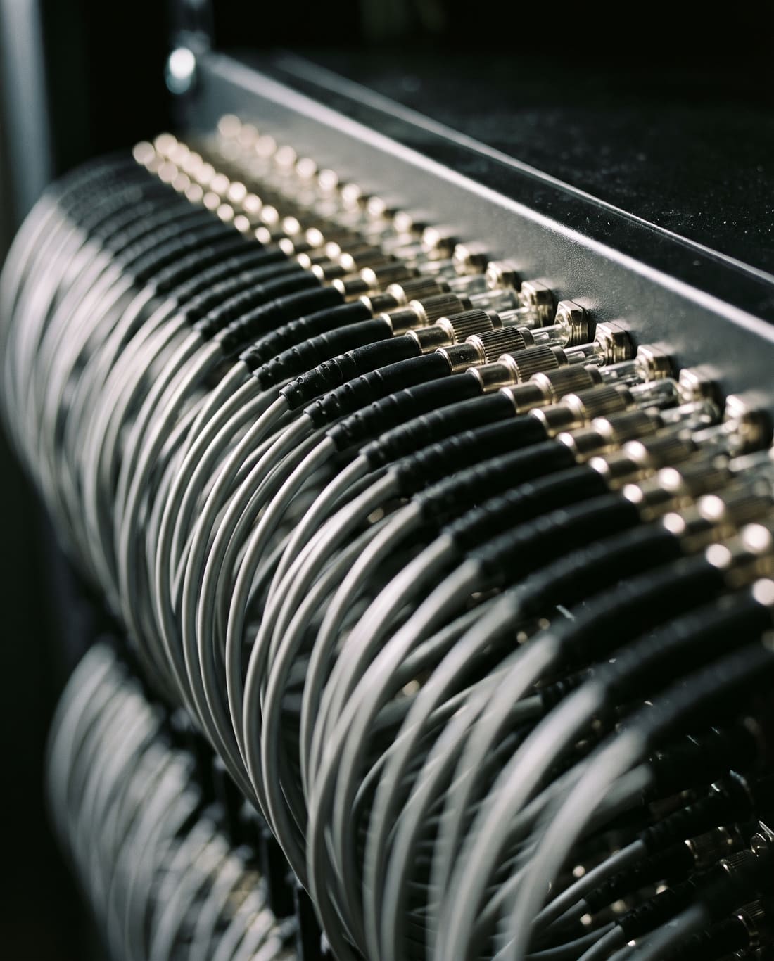 Macro of fibre-optic patch cables seated in a patch panel